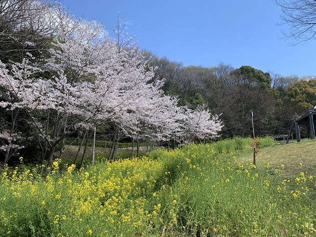 運動公園1