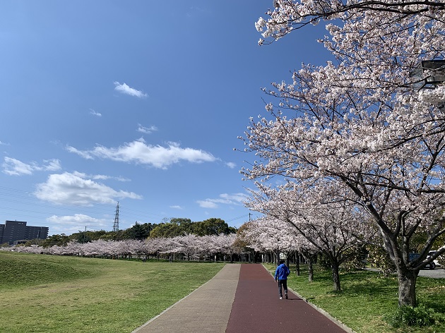 健康公園1